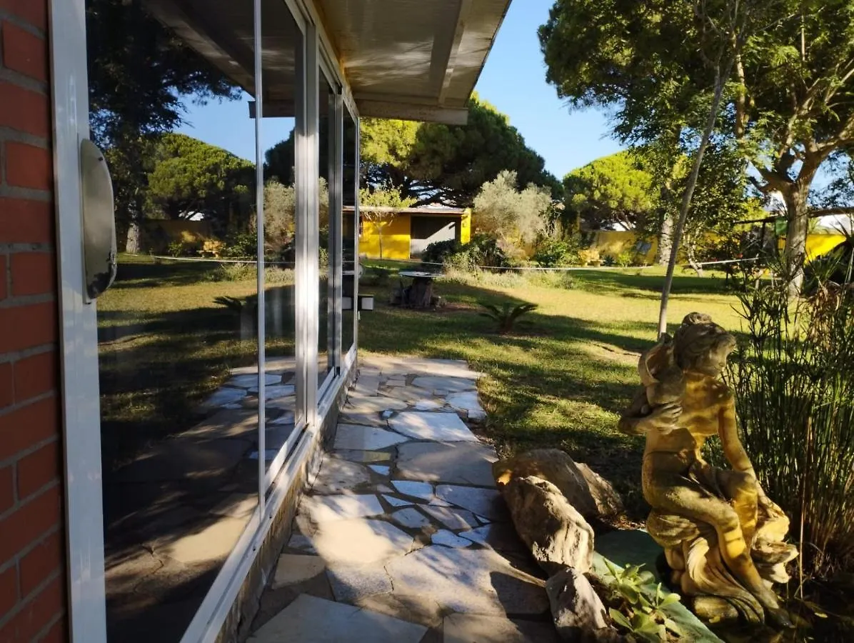 Apartamento Jacaranda Cádiz España