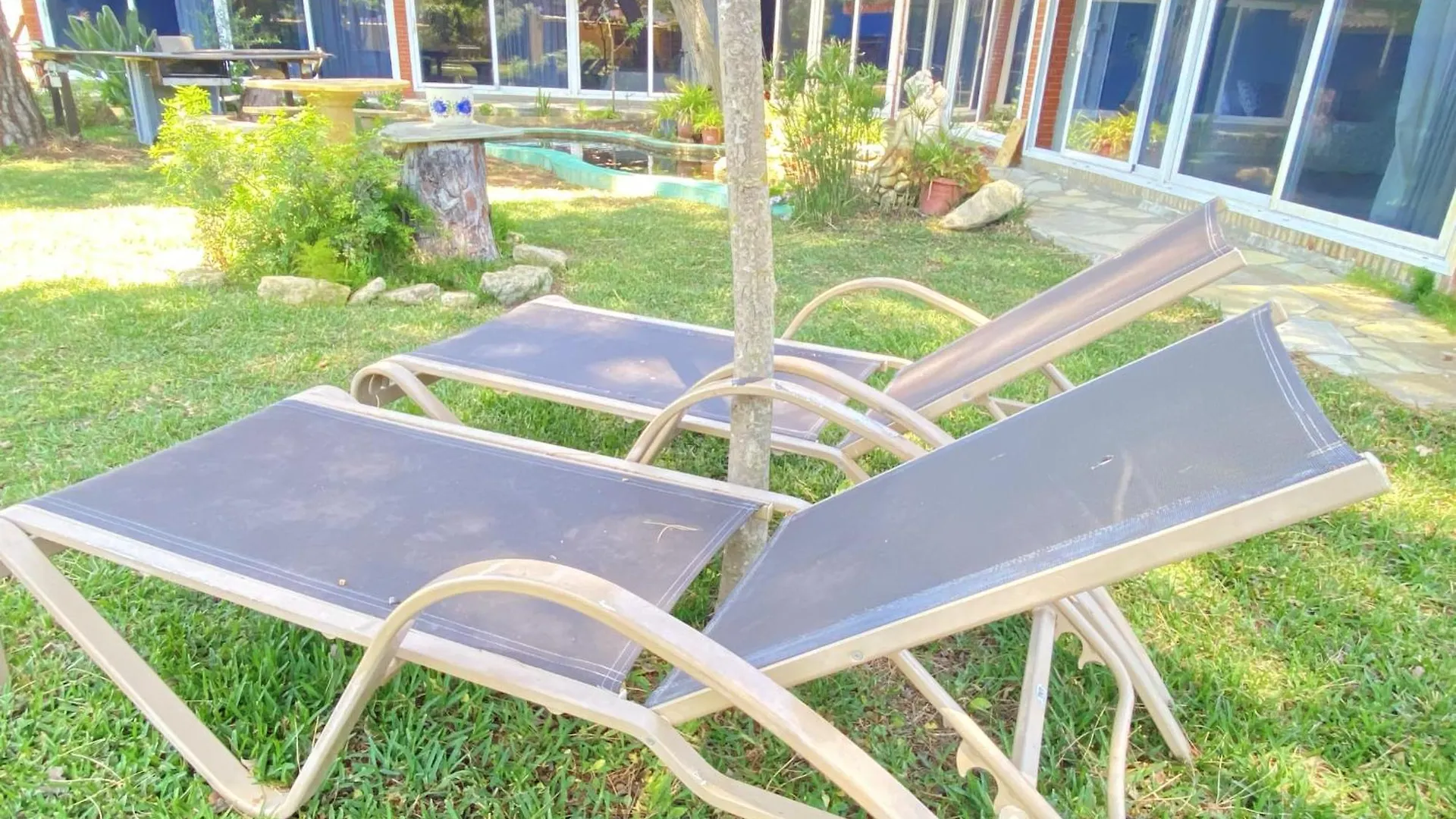 Homestay Jacaranda Apartment Cadiz Spain