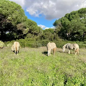  Villa Casa Dehesa De Yeguas España